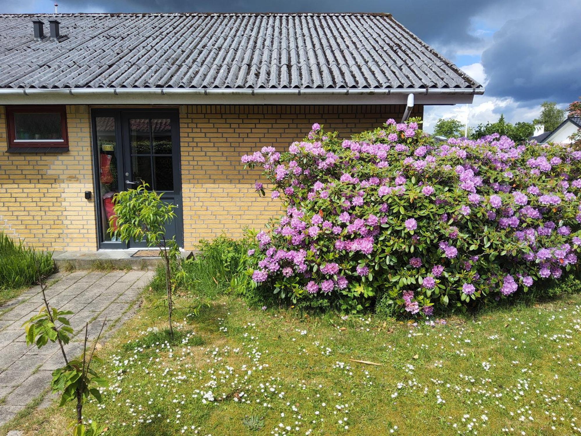 Family Friendly Apt B, 900M To Lego House, Parking, Legoland, Lalandia Billund Exterior foto